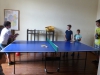 élet a pingpong szobában